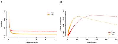 Genome Divergence and Dynamics in the Thin-Tailed Desert Sheep From Sudan